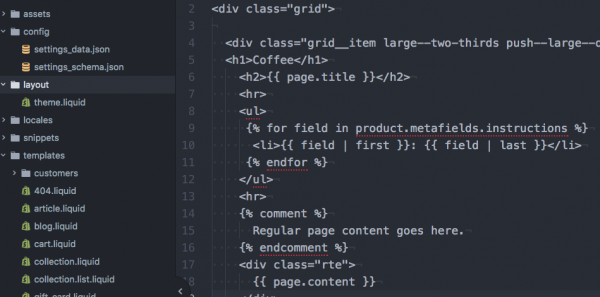 shopify theme