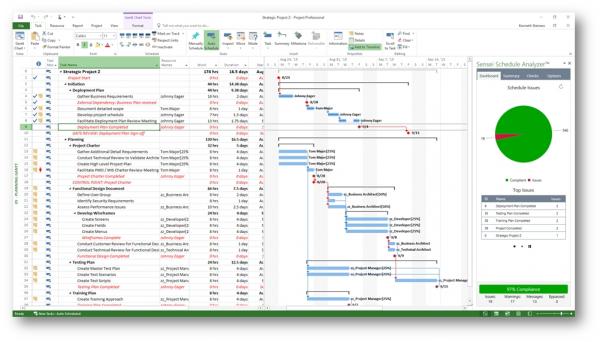 ms project